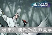 《烟雨江湖水上漂》攻略大揭秘（游戏中的各种技巧和秘密）