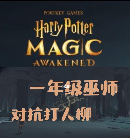 哈利波特魔法觉醒——打人柳位置攻略（掌握攻略）