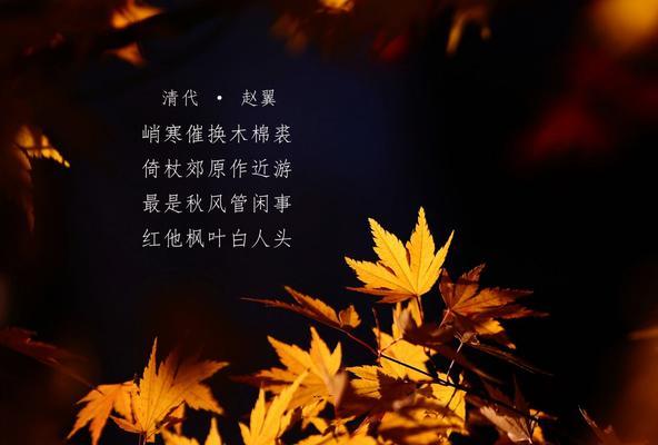 《江湖悠悠》游戏惊涛门枫叶舞代替癸水排序之新体验（以游戏为主）