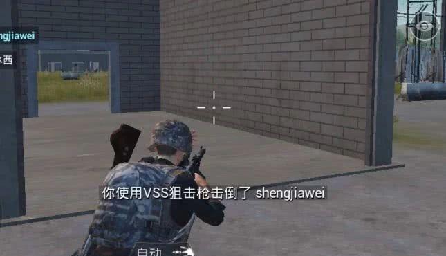 VSS射手步枪（揭秘VSS射手步枪的独特之处及其在游戏中的运用）